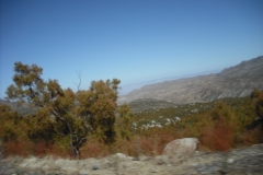 dscf0023