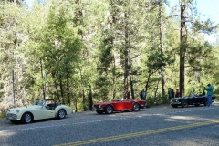 Triumphest2012 005(1)