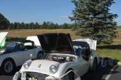 tfest036