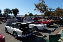 Triumphest_2014 135