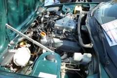 Triumphest_2014 164